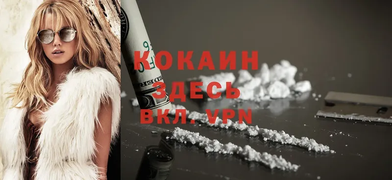 COCAIN Fish Scale  Кяхта 